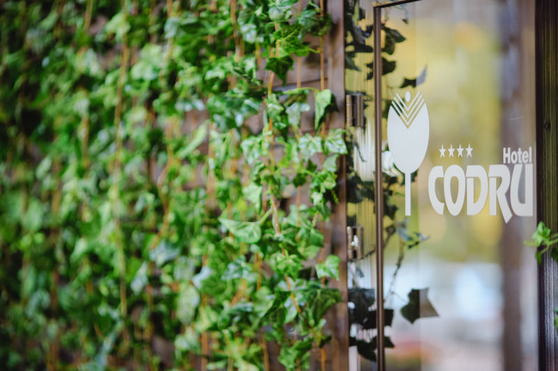 Codru Hotel Chisinau Exterior foto